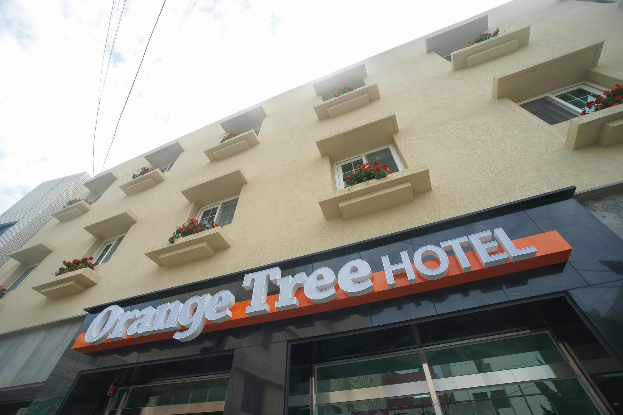 Orange Tree Hotel Jeju Eksteriør billede